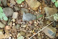 P6250350.webp