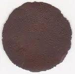 Coin.webp