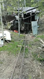 lonestarcleanup1.webp