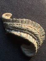 ImageUploadedByTreasureNet.com1465320119.812852.webp