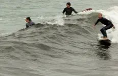 surfers.webp