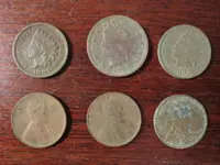 Finds 062516.webp