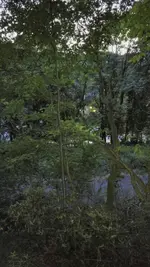 1466909069720.webp