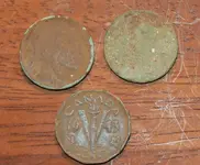 DSC_0519nickels.webp