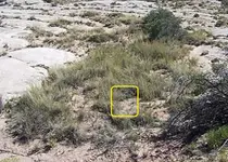 100_8113 Snip.webp