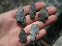100_0421.webp
