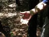 DSCN1072.webp