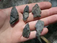 100_0422.webp