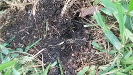 20160605_164909_HDR_resized.webp