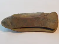 DSCN0534.webp