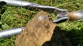 Button in Dirt.webp Button in Dirt.webp
