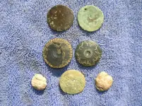 Cleaned Finds.webp Cleaned Finds.webp