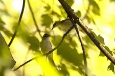 K1600_IMG_8848-01.webp K1600_IMG_8848-01.webp