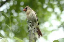 K1600_IMG_6364.webp
