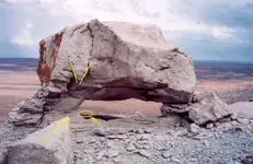 Turtle gunsite.webp