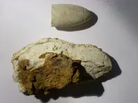 DSCN3160.webp