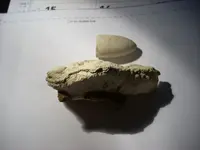DSCN3161.webp