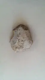 1465341968710.webp
