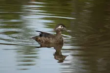 K1600_IMG_4455.webp