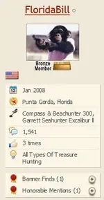 FireShot Screen Capture #189 - '[FOR SALE] Treasure Hunter with Beach Scene License Plate' - ...webp
