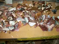 100_4652.webp