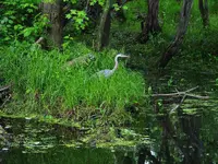 DSCN2423.webp