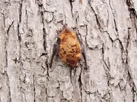 DSCN1369.webp