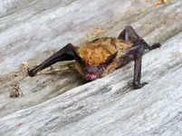 DSCN1377.webp