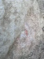 ImageUploadedByTreasureNet.com1468282377.711950.webp