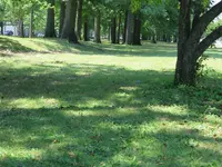 IMG_4561.webp IMG_4561.webp