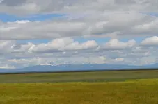 klamath Marsh1.webp