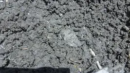 204_1232.webp 204_1232.webp