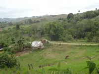DSCF0961.webp