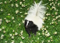 DSCN3167.webp