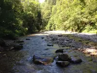 ImageUploadedByTreasureNet.com1468313932.661193.webp