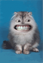 stressiswhenLOGO.gif