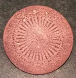 Radial dandy front.webp Radial dandy front.webp