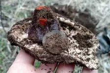 pit plug.webp