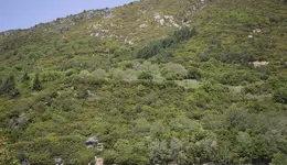 AMP_1601.webp