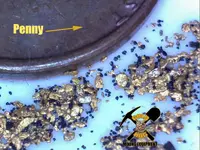 1pennygold.webp
