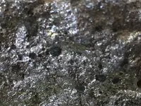 rock (4).webp