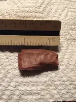 ImageUploadedByTreasureNet.com1466988556.768044.webp