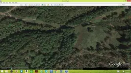 Old homesite 2.webp