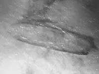 Screen Shot 2016-07-05 at 3.20.25 PM.webp