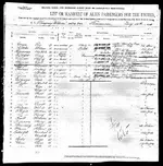 1910 passenger manifest.webp