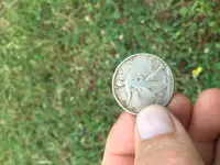 My First Walking Liberty Half Dollar.webp