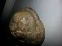 1464674395045-289193377.webp