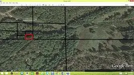 Old%20homesite%202.webp