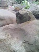 received_984264294962660.webp