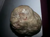 1464674787587-1529739108.webp